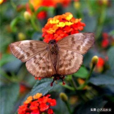 以高质量党建引领高水平生态环境保护（深入学习贯彻习近平新时代中国特色社会主义思想）