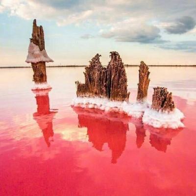 体坛巴黎奥运会后首秀张雨霏晋级全国游泳锦标赛50米蝶泳半决赛