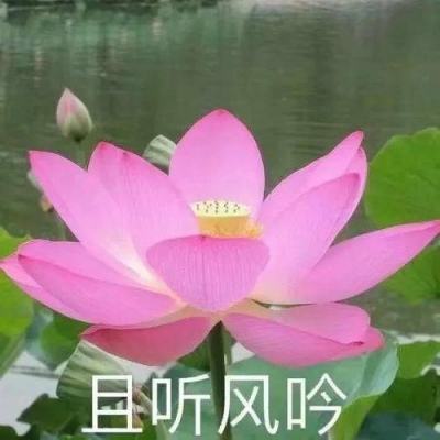 凌翼长篇文化散文《大湖纹理》《赣鄱书》研讨会在京举行